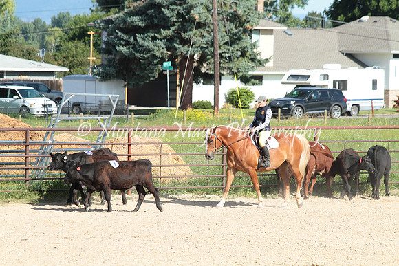 Cattle Clinic Team 1_2234
