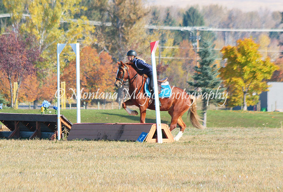 Snoop Horse_4743
