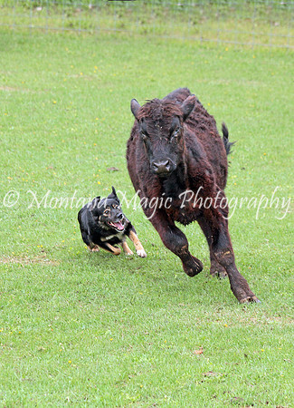 Frankie_0432