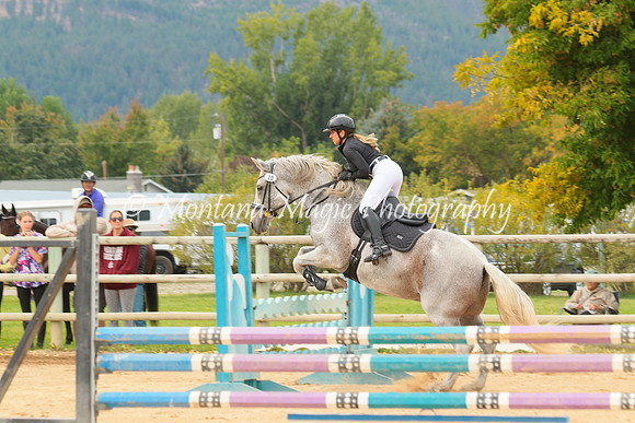 Gavilan Rey_3270
