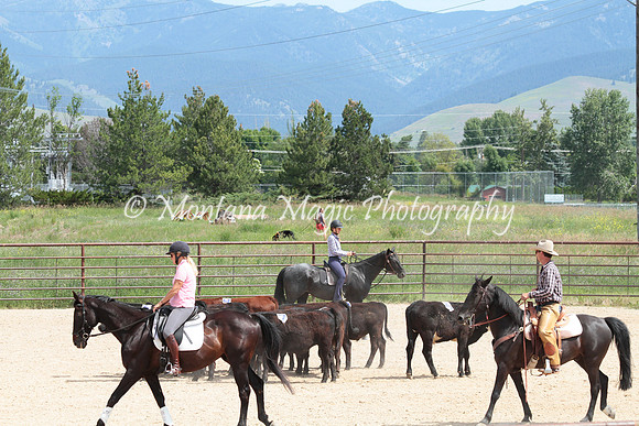 Cattle Clinic Team 3_2313