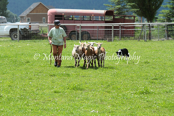 Maggie_0794