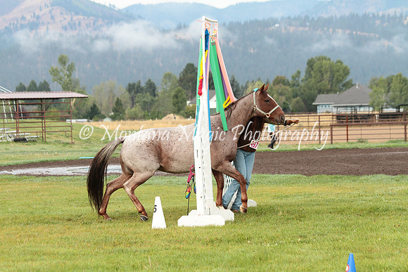 Coniger_0765