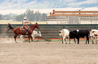 Justa Crooked Cowboy_6540
