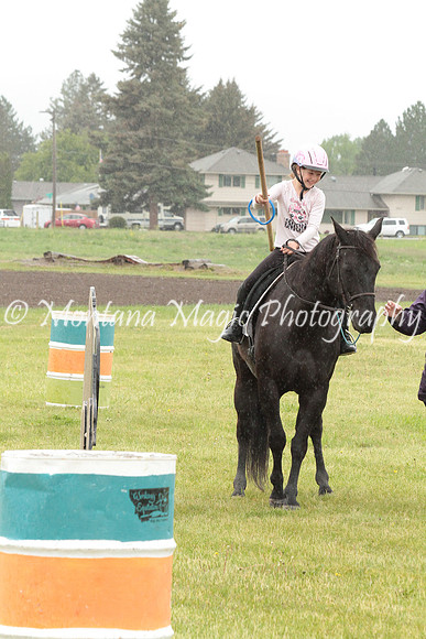 Air Horse One_2953