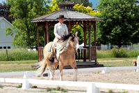06.2025 Working Equitation