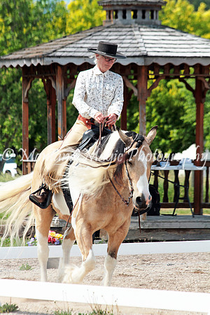 Cowboy_9104