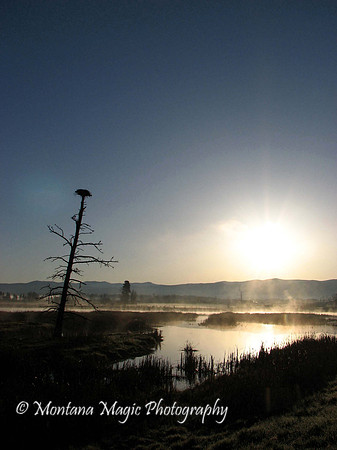 SS107 Sunrise on the Marsh