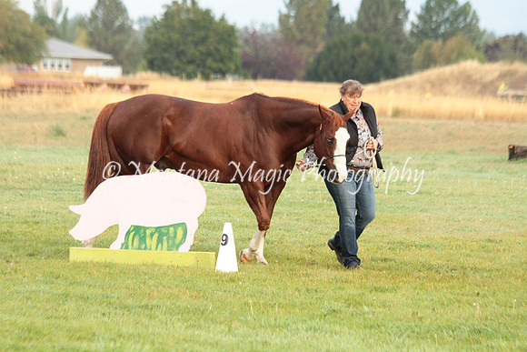 Big D_0677