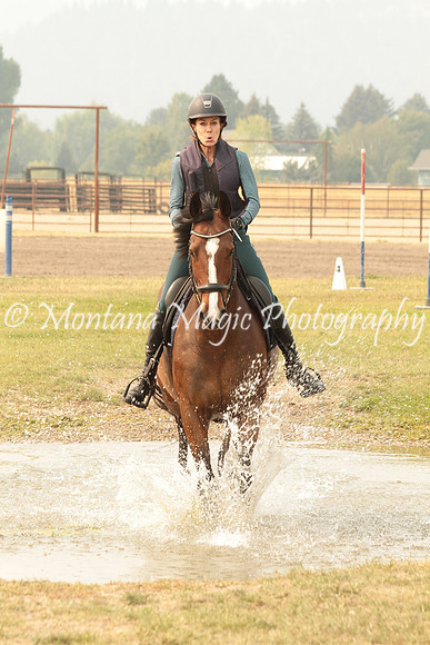 Fairsing Moondance_9716