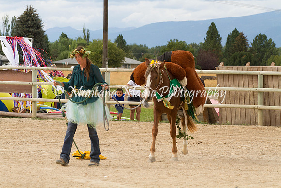 Entry #11_6742