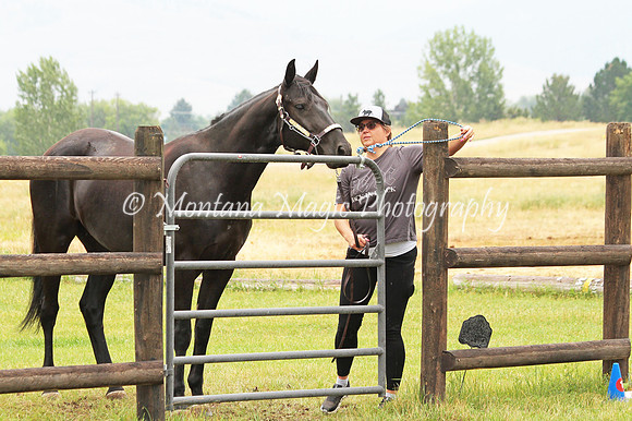 Back In Black_5955