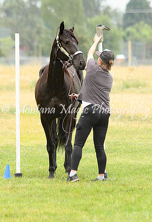 Back In Black_5958