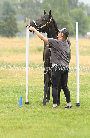 Back In Black_5957