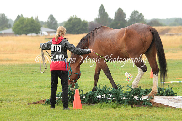 Calypso_6892