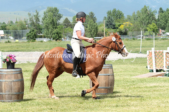 Dyna's Montana Lynx_6617