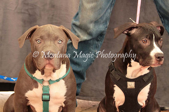 Ezekial & Diamond_0363