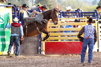 Morgan Brand_1270
