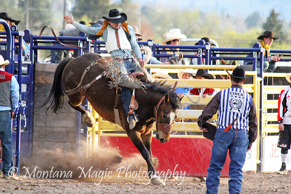 Morgan Brand_1273