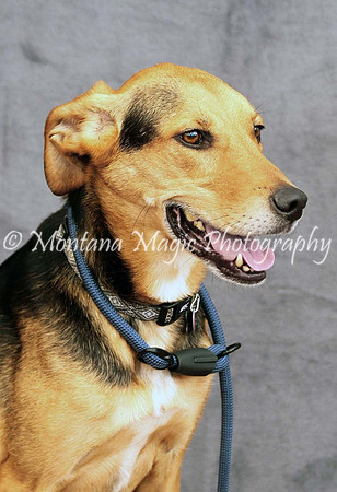 Petey_0516