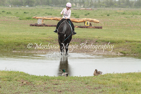 Air Horse One_2959