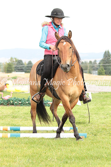 Honeybee_1172