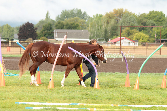 Big D_0671