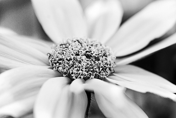 BW122