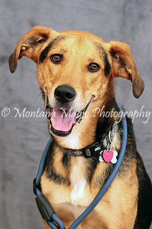 Petey_0528