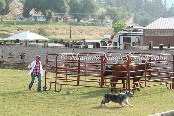 Dually_0599