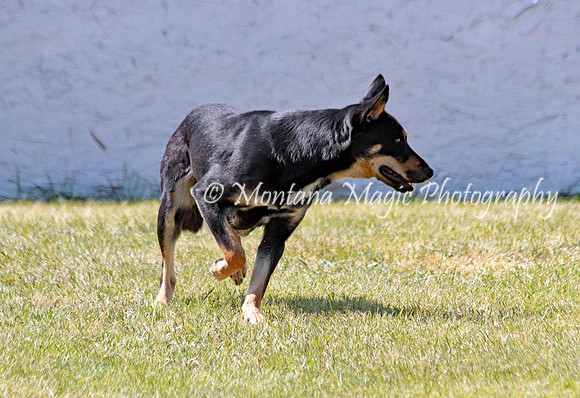 Mickey_0932