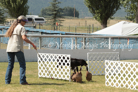 Midge_0941