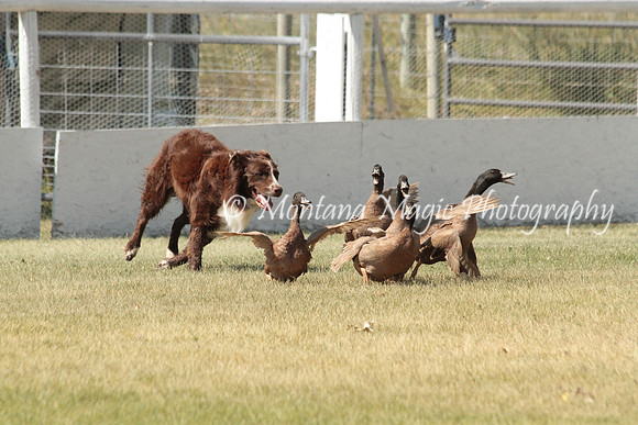 Riddick_0926