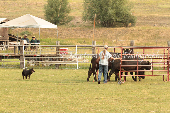 Midge_1603