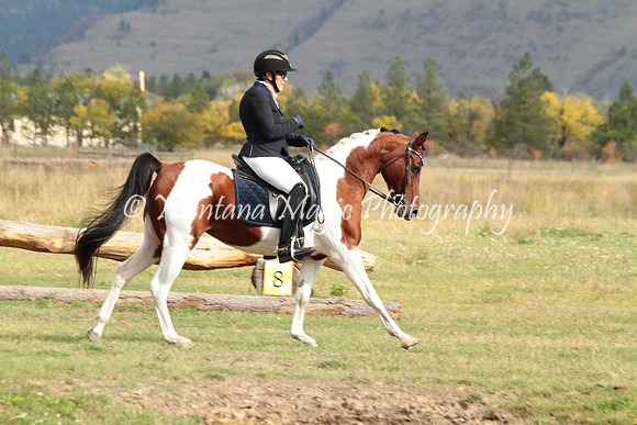 Minuet's Meni Promises_0214