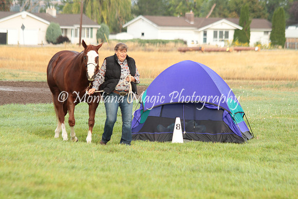 Big D_0674
