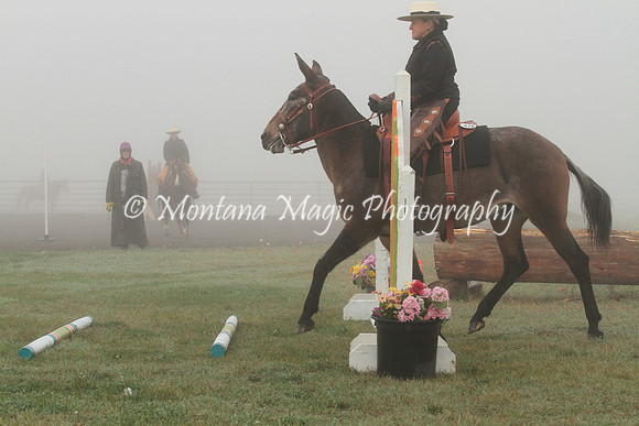 Annie_2011