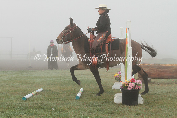 Annie_2012
