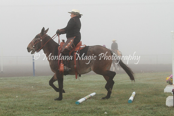 Annie_2014