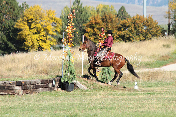 Denali_3223