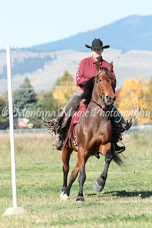 Denali_3238