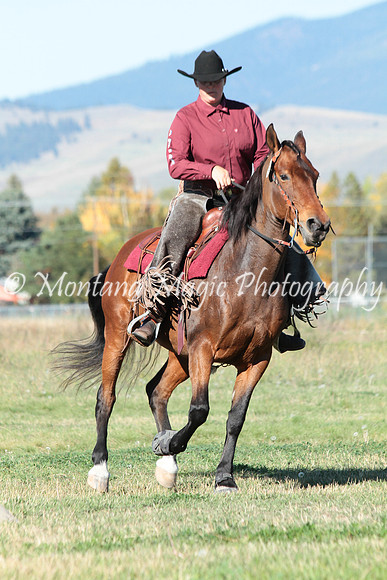 Denali_3239