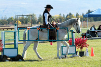 2023.10 Working Equitation Western Championship