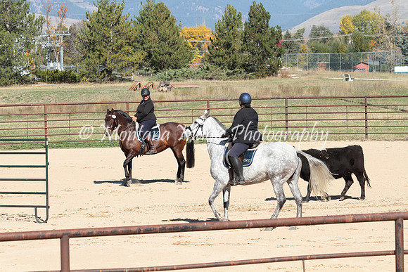 Drogo_4688