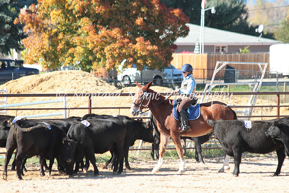 Knightstown Casey_4808