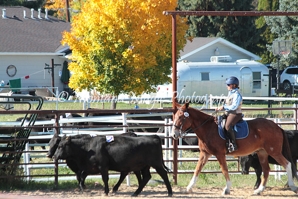 Knightstown Casey_4809
