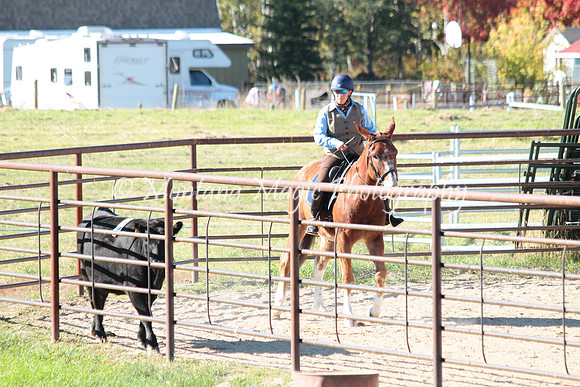 Knightstown Casey_4810