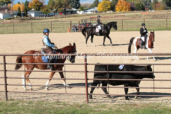 Knightstown Casey_4816