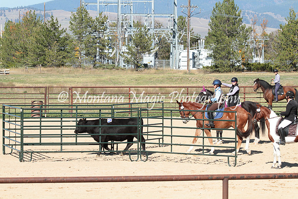 Knightstown Casey_4823