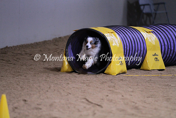 IMG_3189